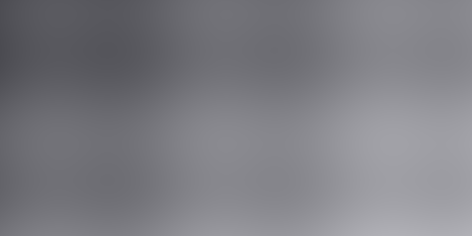 Placeholder grey gradient. Replace with a photo of the business's own work.